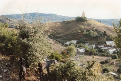 Scan003.jpg
